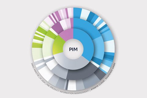 Downloadimage Simio Analyse der ATAMYA Product Cloud